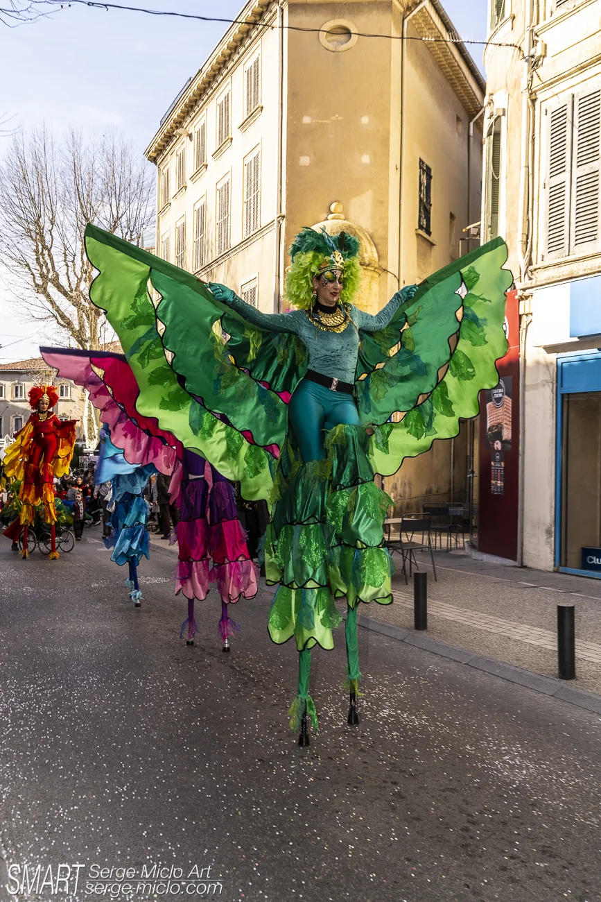 Artiste sur échasses avec de grandes ailes vertes