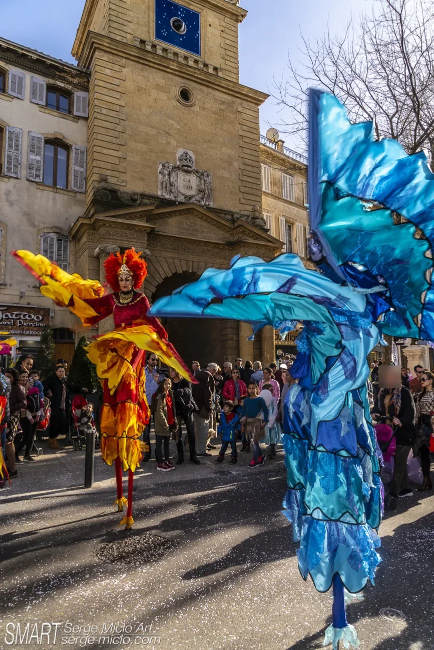 Échassiers en mouvement devant le public